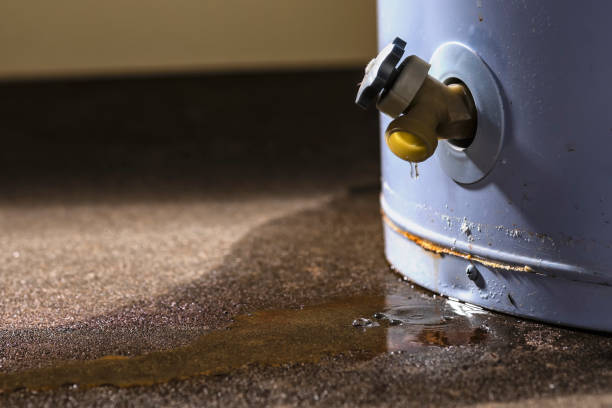 Best 24/7 water damage repair  in Sleepy Eye, MN