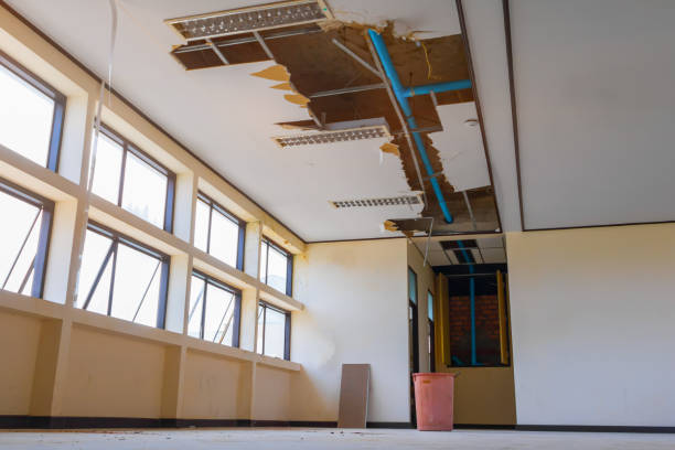 Best Water damage restoration near me  in Sleepy Eye, MN