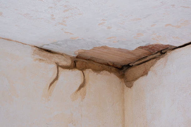 Best Local water damage restoration  in Sleepy Eye, MN