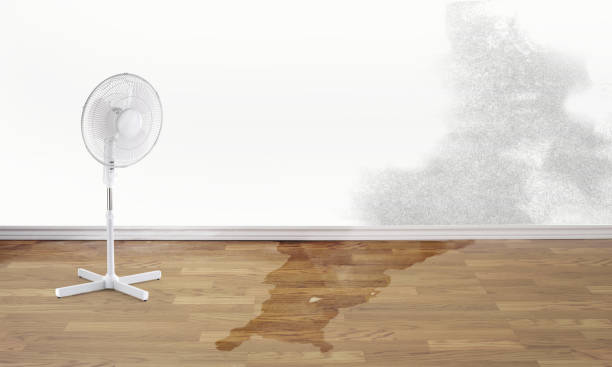  Sleepy Eye, MN Water damage restoration Pros