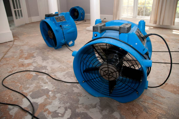 Best Water damage restoration near me  in Sleepy Eye, MN