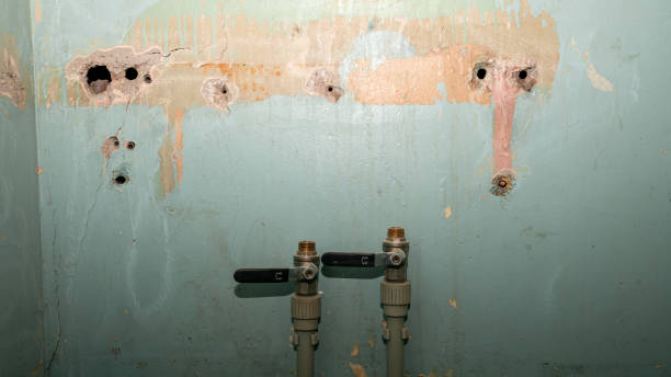 Best Sewage cleanup and water damage restoration  in Sleepy Eye, MN