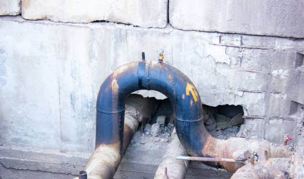 Best Flood restoration services  in Sleepy Eye, MN